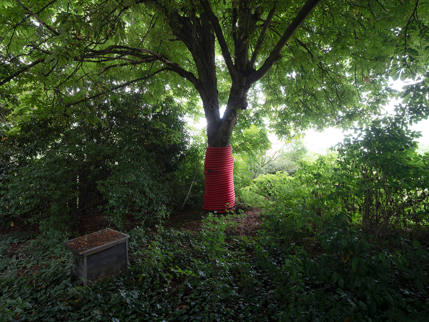 Bâtiment d'exploitation de l'EPPGHV. Arbres remarquables protégés.