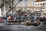 Livraison des arbres pour aménagement des abords nord du château de Vincennes