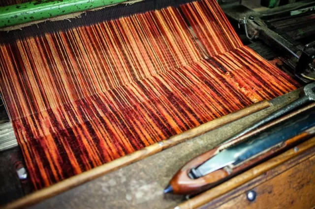 Tissage de la moquette flammée ; sur le métier, les fils traversant le peigne sont croisés pour être liés et former des boucles grâce à des fers glissés en dessous. Grâce à un rasoir, ces boucles sont coupées pour créer le poil.